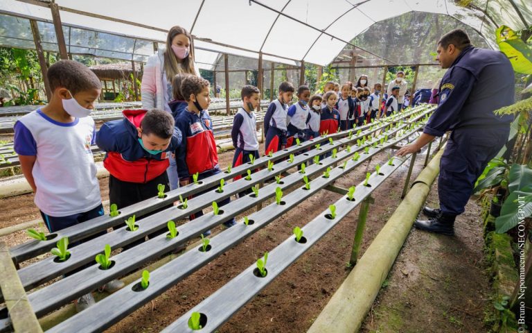 Preservação da Mata Atlântica em Teresópolis: Iniciativas Ambientais no Coração da Serra Fluminense
